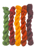Autumn Landscape Color Bundle- Fingering